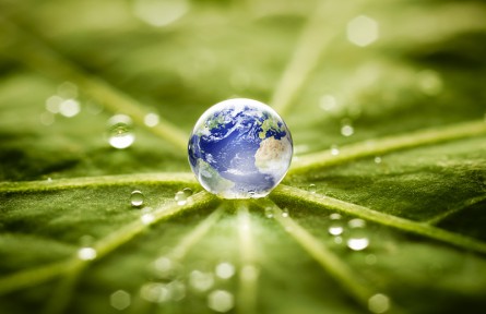 科技名詞 | 環(huán)境信息公開  environmental information disclosure
