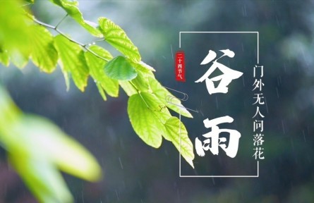 谷雨，門外無人問落花