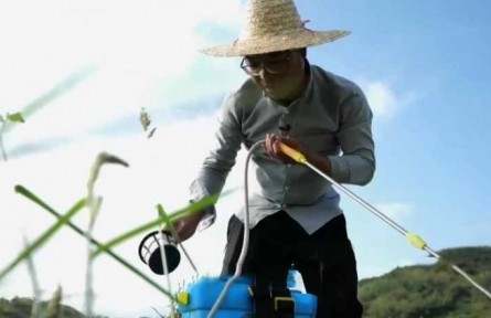 水稻栽培師李建武：扎根稻田 做一?！昂梅N子”
