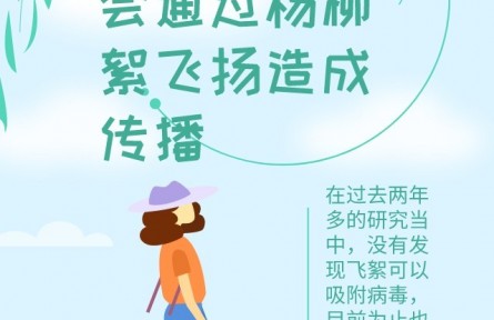 辟謠 | 飛絮會(huì)不會(huì)傳播新冠病毒？易過(guò)敏人群應(yīng)如何做好防護(hù)？