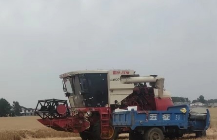 機(jī)手、主播、畫家……“三農(nóng)”變化之農(nóng)民新職業(yè)