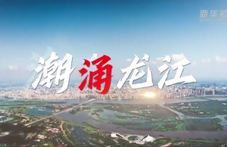 沿著總書(shū)記的足跡·黑龍江篇：奮力書(shū)寫黑土地高質(zhì)量發(fā)展新答卷