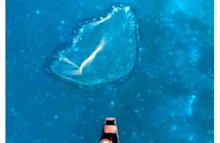 這樣的山水，很中國