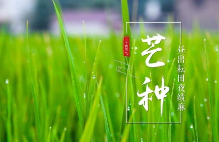 芒種，晝出耘田夜績(jī)麻