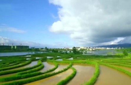 重慶：生態(tài)優(yōu)先 綠色發(fā)展 加快建設山清水秀美麗之地