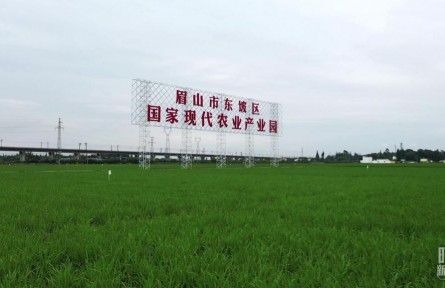 時政新聞眼 | 習近平再赴四川考察，在眉山重點關注了什么？