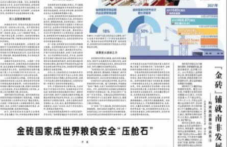 金磚國(guó)家成世界糧食安全“壓艙石”