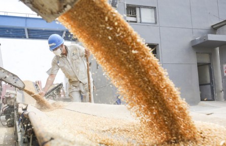 國(guó)家糧食和物資儲(chǔ)備局：2022年夏糧收購(gòu)進(jìn)度加快