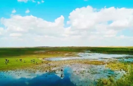 大美邊疆行 | 駿馬揚(yáng)鬃逐夢(mèng)去，民富邊興幸福長(zhǎng)