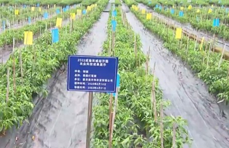 實施五大行動 重慶將全力打造西部種業(yè)高地