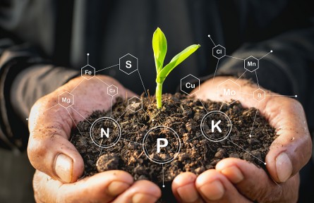 科技名詞 | 土壤改良  soil amelioration，soil improvement