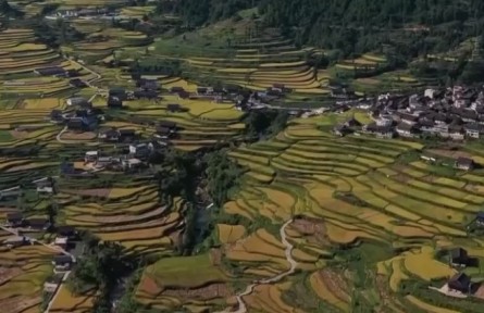 2022年上半年鞏固脫貧成果接續(xù)鄉(xiāng)村振興新進展：通過產(chǎn)業(yè)就業(yè)幫扶 增加脫貧戶收入