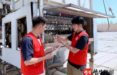效率提高20倍！南京林業(yè)大學(xué)學(xué)子發(fā)明智能分揀系統(tǒng)，助力新疆長絨棉豐產(chǎn)增收