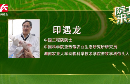 “養(yǎng)豬院士”印遇龍：用科技幫助農(nóng)民“養(yǎng)好豬、好養(yǎng)豬”