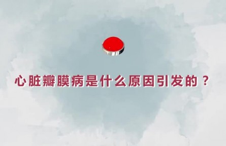 健康問答 | 心臟瓣膜病是什么原因引發(fā)的？如何精準(zhǔn)治療？