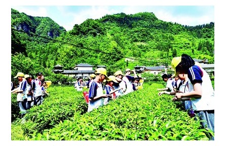 “耕”以強(qiáng)體，“讀”以潤心——我國耕讀教育開展情況調(diào)研報告
