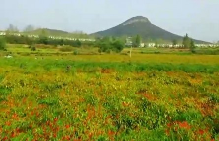 全國(guó)各地豐收景象書(shū)寫(xiě)出美麗畫(huà)卷