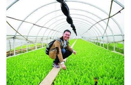 果蔬育種師：陪果蔬一起成長(zhǎng)的青春，甜甜的