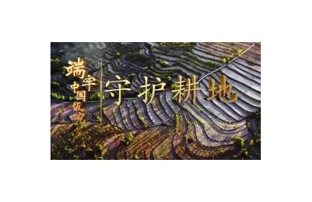 《端牢中國飯碗》系列報道