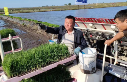 黑龍江延壽：趕上好時代，更要種好咱的黑土地！