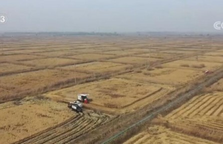 各地持續(xù)推廣綠色高效農(nóng)業(yè)模式 帶動(dòng)農(nóng)戶(hù)增產(chǎn)增收
