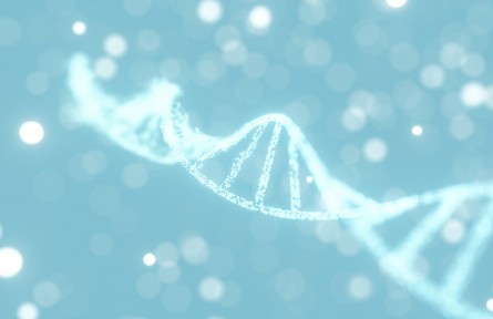 科技名詞 | 長(zhǎng)壽基因  longevity genes