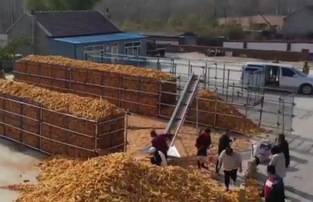 吉林：科學儲糧 讓農民豐產更豐收