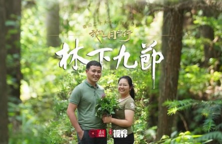 林更綠，民更富！老兵化作“新農(nóng)人”，賦能粵北南嶺林下生態(tài)富民路