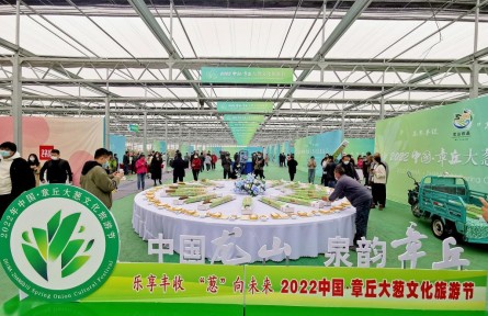 大蔥長得高，百姓生活好——山東章丘大蔥收獲見聞