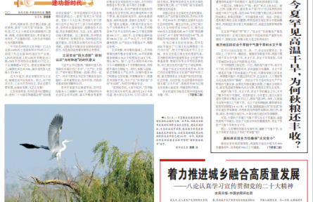 今夏罕見高溫干旱，為何秋糧還豐收？