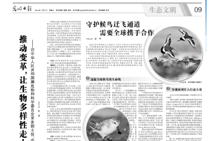 推動(dòng)變革，讓生物多樣性走上復(fù)蘇之路
