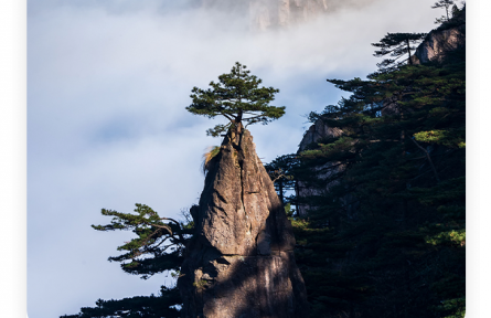 王勃：老當(dāng)益壯，寧移白首之心；窮且益堅(jiān)，不墜青云之志