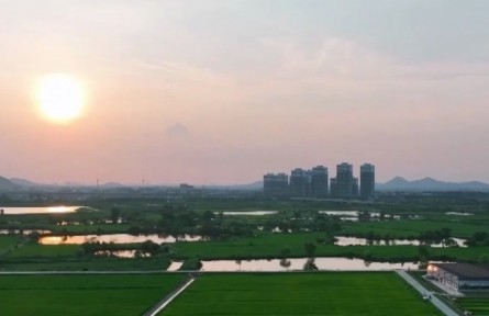 建設(shè)農(nóng)業(yè)強國 推進(jìn)智慧農(nóng)業(yè)發(fā)展