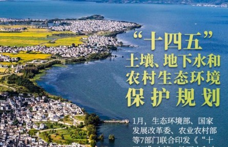 長江黃河、黑土濕地……縱覽2022美麗中國新畫卷