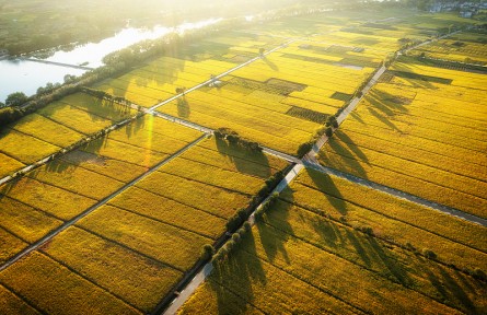 科技名詞 | 灌區(qū)  irrigation district，irrigation area
