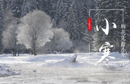 小寒，梅花先趁小寒開