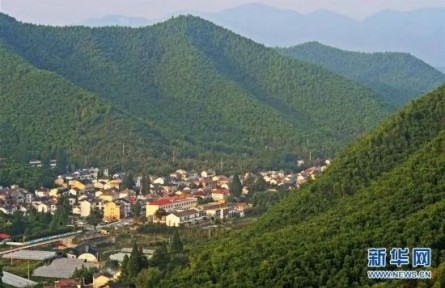 “為什么說綠水青山就是金山銀山？”