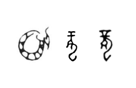咬文嚼字 |“龍”，你到底是什么？