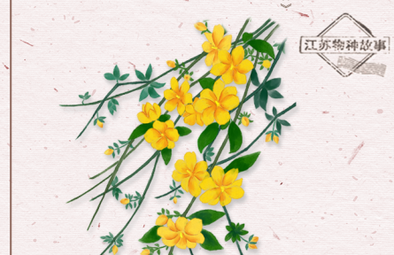 物種故事 | 迎春花：迎得春來非自足，百花千卉共芬芳