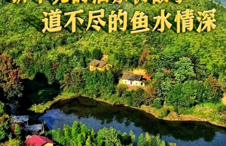 十年兩會(huì)·溫暖記憶｜“講不完的油茶樹(shù)故事，道不盡的魚(yú)水情深”