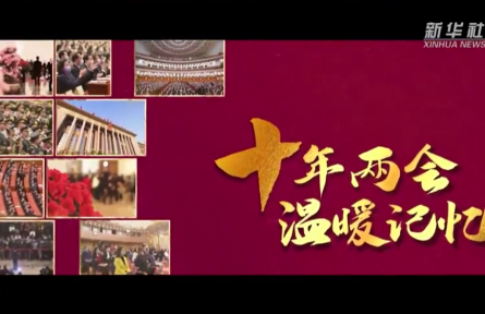 十年兩會·溫暖記憶 |“當好‘火車頭’，跑出鄉(xiāng)村振興‘加速度’！”