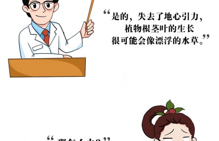 上天入地，沒有什么能阻止中國人種菜的腳步！