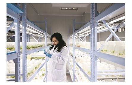 厚植沃土，為創(chuàng)新發(fā)展注入人才動力