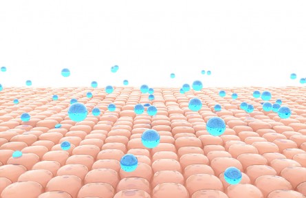 科技名詞 | 皮膚老化 skin aging，cutaneous aging