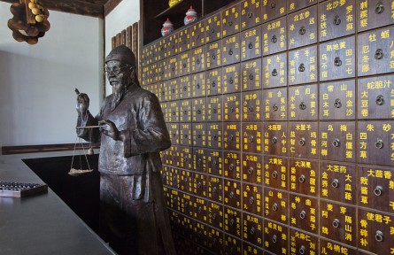 科技名詞 | 金匱要略 Jingui Yaolüe，Synopsis of Golden Chamber