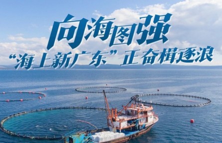 向海圖強(qiáng)！“海上新廣東”正奮楫逐浪