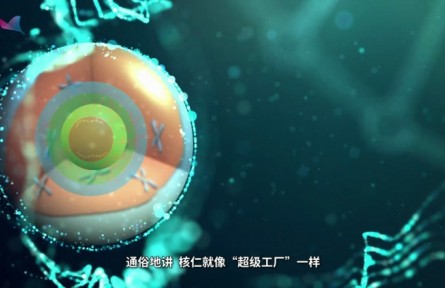 科普 | 上?？茖W(xué)家發(fā)現(xiàn)核糖體RNA“超級(jí)工廠”的運(yùn)行新機(jī)制