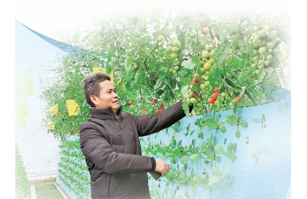 徐偉忠：氣霧栽培，種出瓜果蔬菜