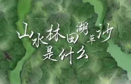 世界地球日 | 山水林田湖草沙是什么？