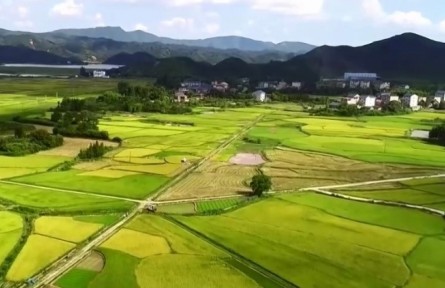 檢察機(jī)關(guān)啟動參與糧食購銷領(lǐng)域腐敗問題專項(xiàng)整治工作